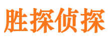 东至市调查公司